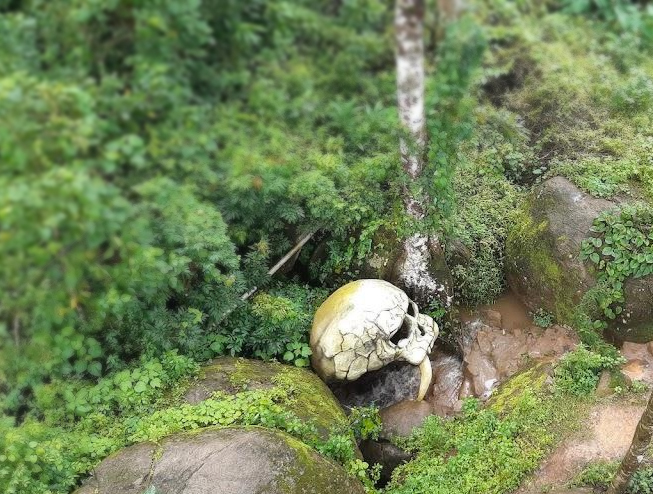 kalladanthy natural caves Munnar